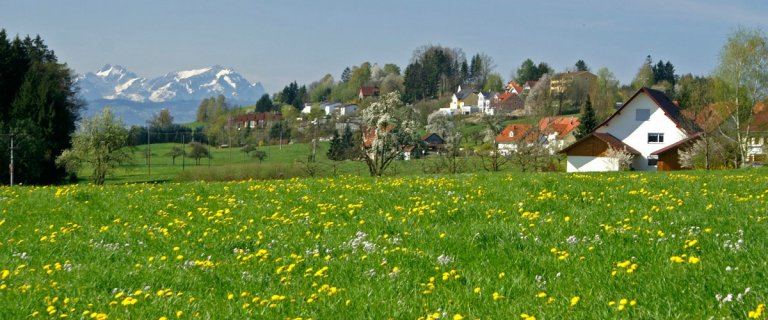 Header comp_357-1200x500.jpg